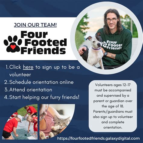 Four Footed Friends