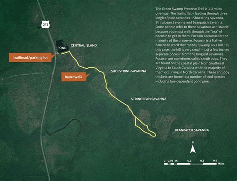 Green Swamp Preserve | The Nature Conservancy in NC