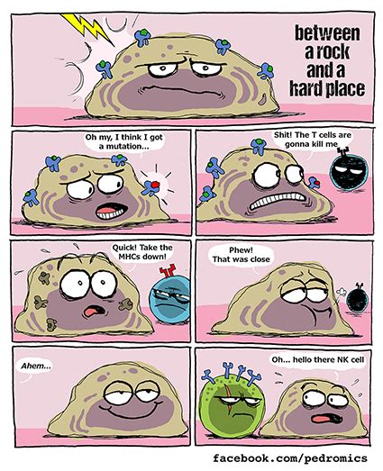 Image result for Cell Adaptation Cartoon