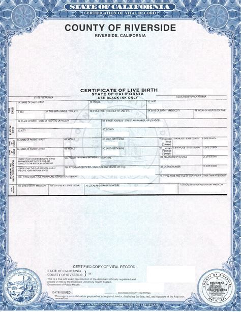 How To Get Birth Certificate San Diego - prntbl.concejomunicipaldechinu ...