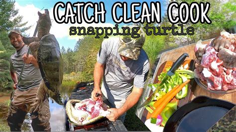 Image result for Catch Cook Clean Turtle