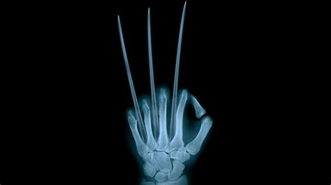 Image result for Wolverine Claws Side View