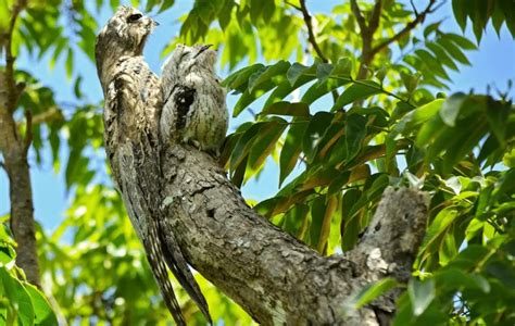 Image result for Natural Light Tutorial