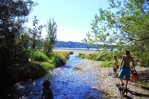 Observations From On The Road: Camping- Belfair State Park, WA