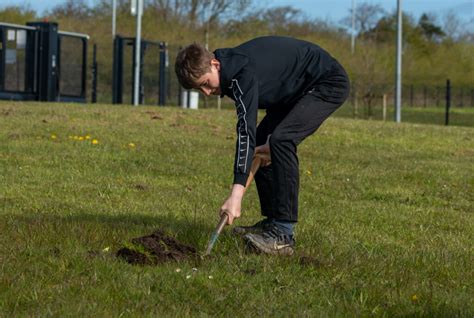 Image result for Tree-Planting Project for School
