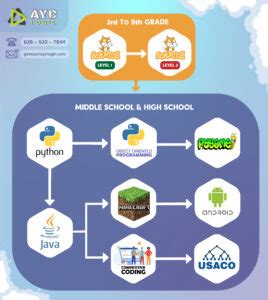 Image result for How to Start Coding Road Map