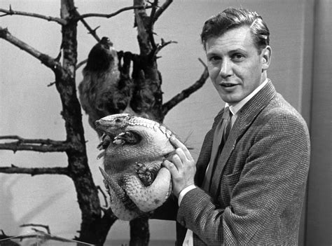 Here's a throwback to David Attenborough at the start of his career ...