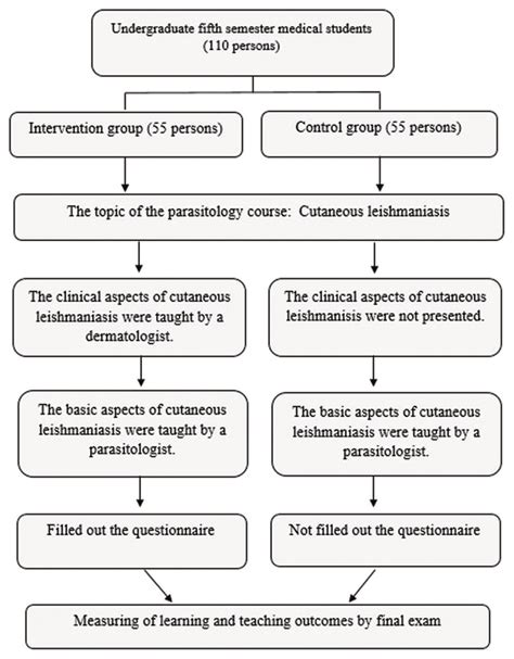Image result for Study Design Types