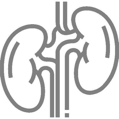 Wellmed Hospitals - Best Multi-Speciality Hospital in Gurgaon