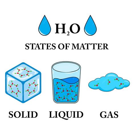 Premium Vector | Vector illustration of the three states of matter ...