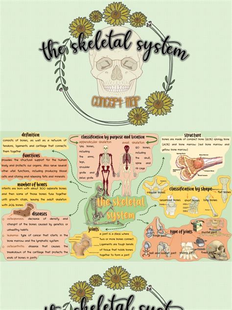 Image result for Musculoskeletal System Concept Map
