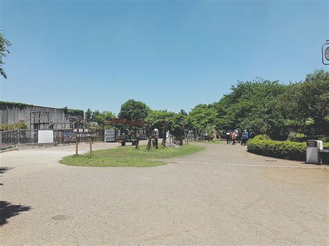 Ichikawa City Zoo Weather