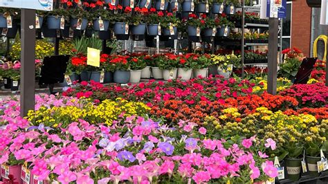 Image result for Lowe's Flower Garden