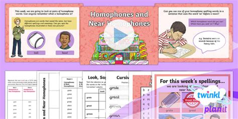 Homophones & Near Homophones Lesson Plan (teacher made)