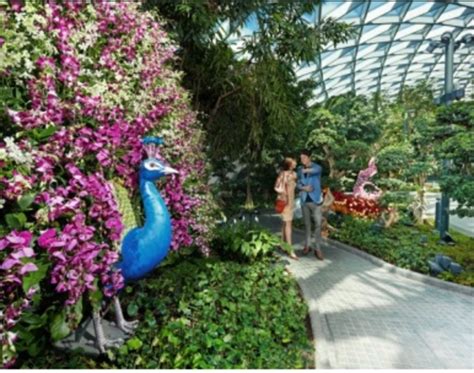 Know how Singapore’s Changi Airport is competing with itself | TimesTravel