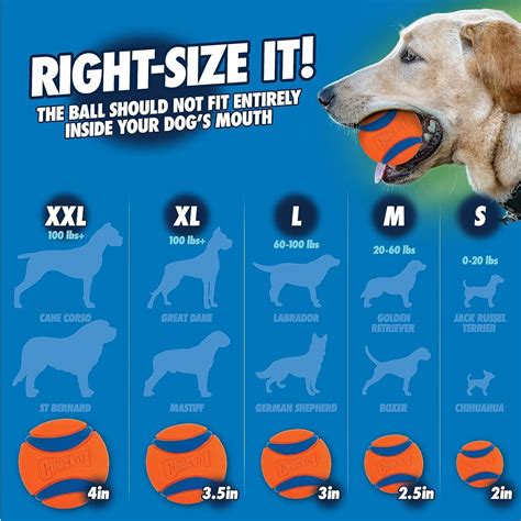 Chuckit Chuckit Pro Fetch Toy Ball Launcher For Dogs Compatible With ...