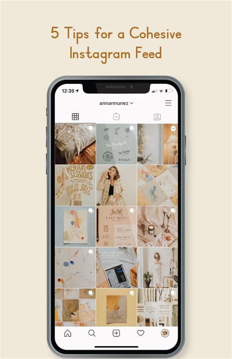 instagram feed video