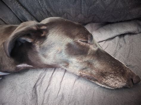 Anyone else get overwhelmed by how much love you have for the noodle(s ...