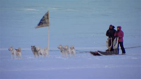 Watch The Challenge Season 22 Episode 10: I Will Always Love You ...