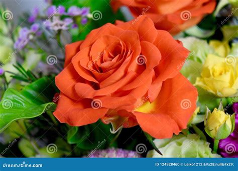Flowers Bouquet Roses Orange and Yellow Roses Closeup Macro Stock Photo ...