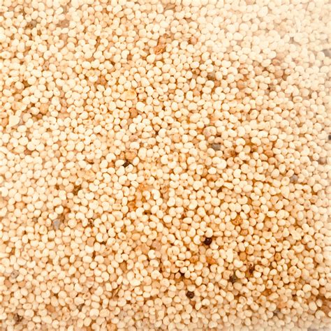 Khus Khus-Gasagasalu-Poppy Seeds-100 Grams – Vintage Farmers