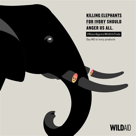 No-Trade No Killing 的图像结果