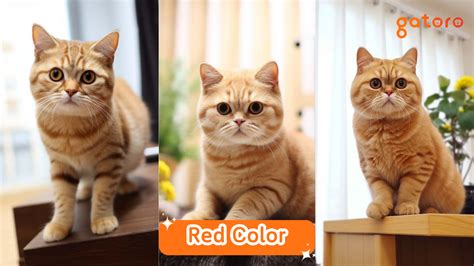 Image result for References Example in SQL