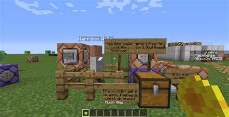 Image result for How to Play Flash Minecraft