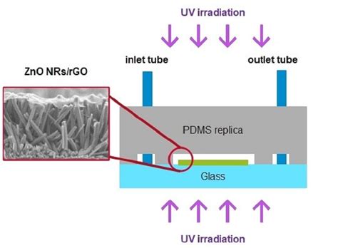 ZnO NRs/rGO Photocatalyst in a Polymer-Based Microfluidic Platform
