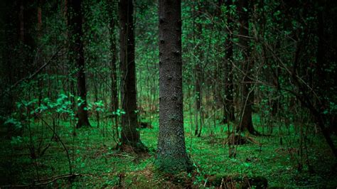 Image result for Object Detection Classification Label Only MSRA