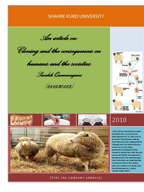 Cloning Examples 的图像结果