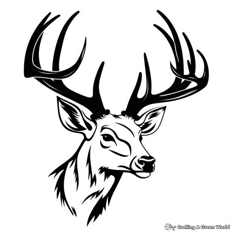 Deer Head Coloring Pages - Free & Printable!