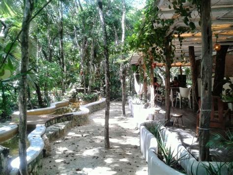 Tulum Mexico Real Estate Tulum Holistika - todotulum.com