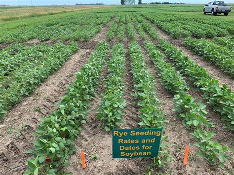 Winter Rye Cover Crop Preceding Soybean: Fall Planting Dates and Rates ...