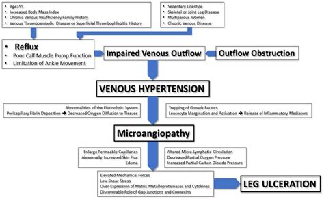 No More Venous Ulcers—What More Can We Do? - treat venous disease