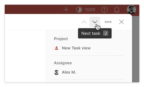 Task View Display 的图像结果