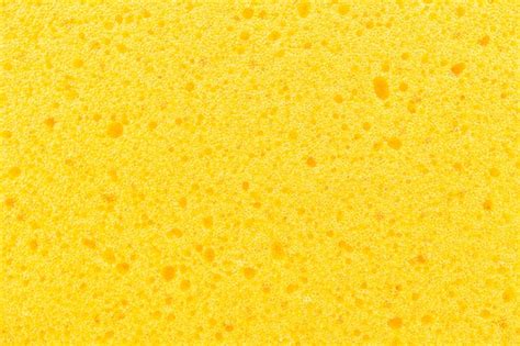 Schwamm hintergrund Bilder - Kostenloser Download auf Freepik