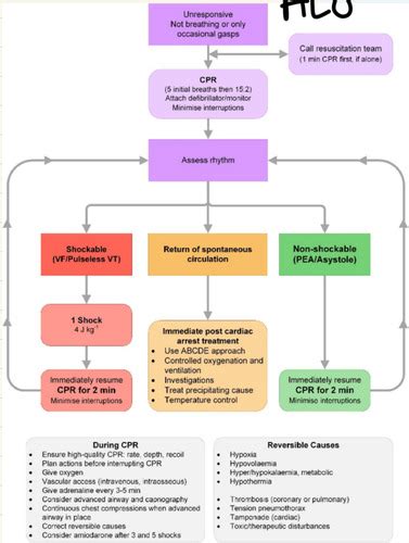 Image result for Paediatric Intermediate Life Support