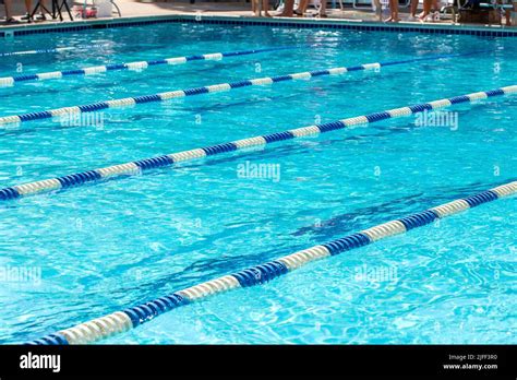 Swim Meet 的图像结果