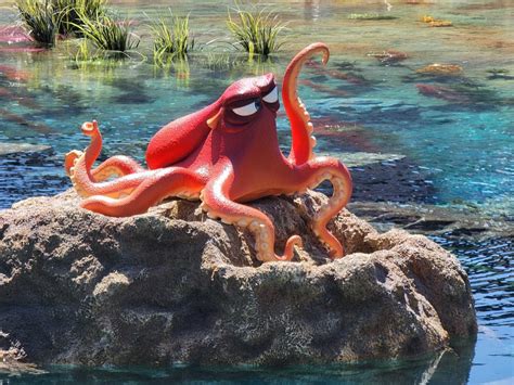 Image result for Nemo Octopus