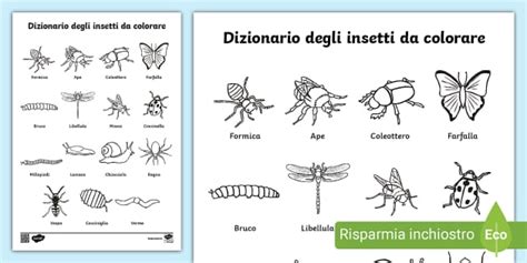 Dizionario degli insetti da colorare (teacher made) - Twinkl