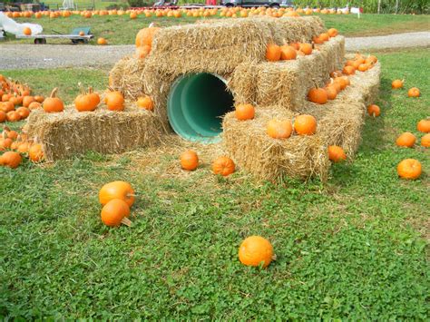 Seasonal Produce - Buckland Farm Market - Warrenton VA