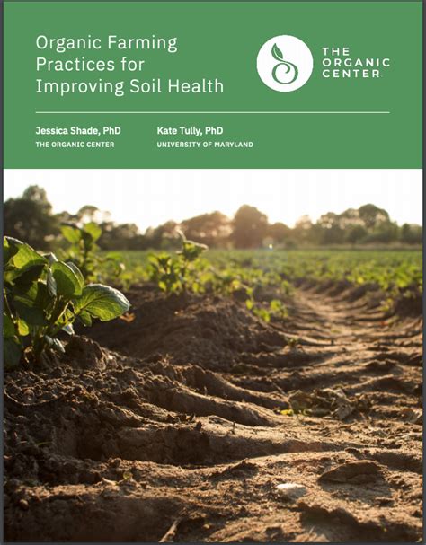 Organic Agriculture 的图像结果