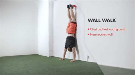 Image result for Wall Walking Script Pastebin