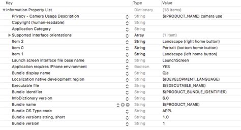 Xcode Camera Access Tutorial 的图像结果