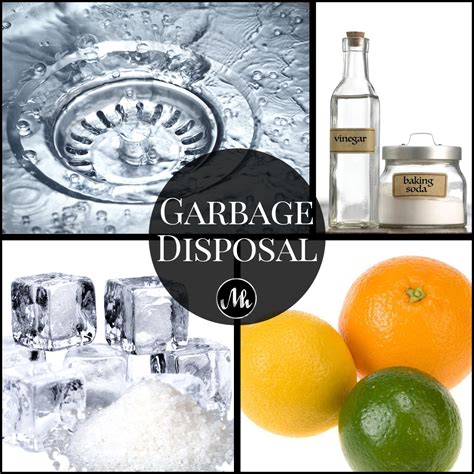 How to Clean Your Smelly Garbage Disposal – Mindy Hibbard Real Estate Team