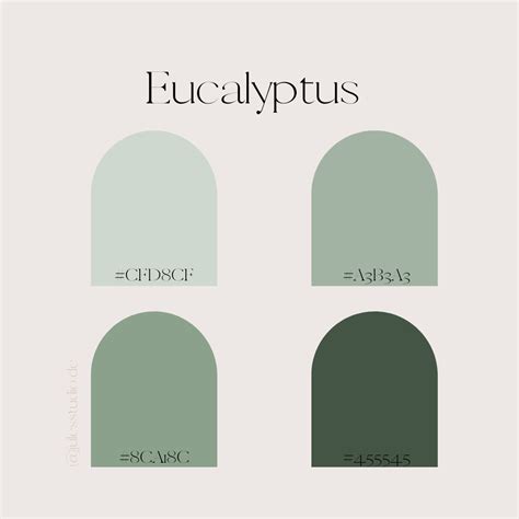 Best 12 Eucalyptus Green Color Palette for Procreate, Procreate ...