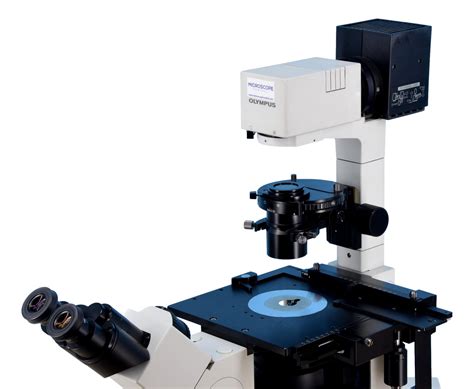Olympus IX70 Inverted Phase Contrast Microscope - Microscope Central