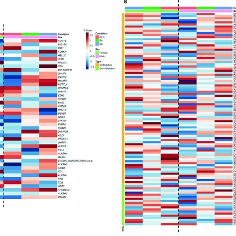Image result for Gene Expression Reprogramming