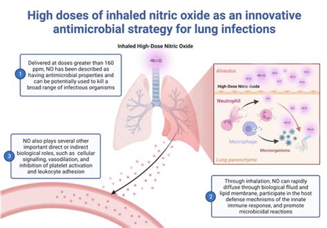 High Doses of Inhaled Nitric Oxide as an Innovative Antimicrobial ...